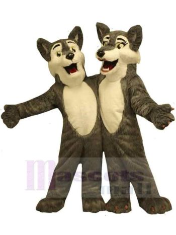 Wolf maskottchen kostüm