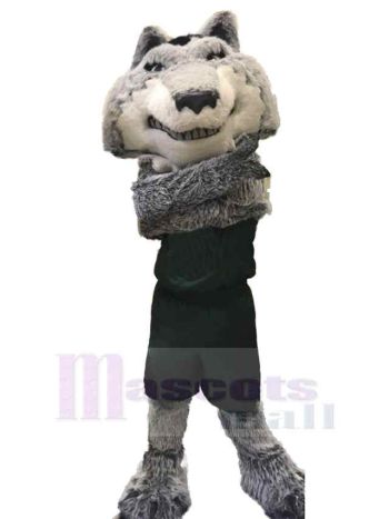 Wolf maskottchen kostüm