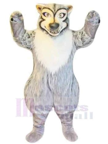 Wolf maskottchen kostüm