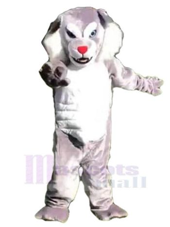 Wolf maskottchen kostüm