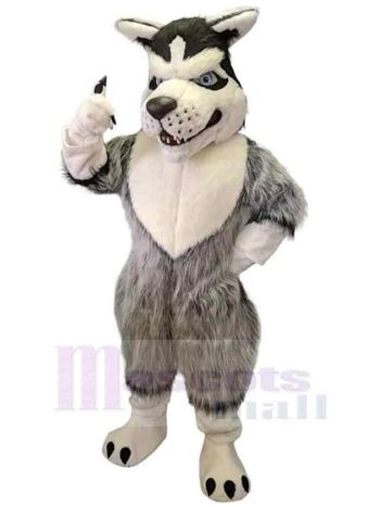 Wolf maskottchen kostüm