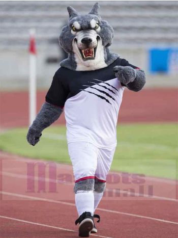 Wolf maskottchen kostüm