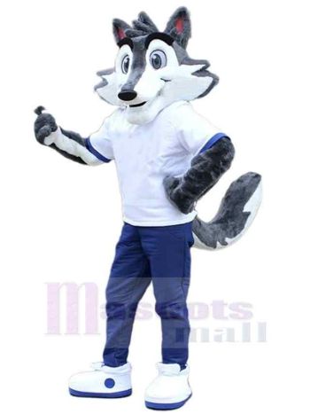Wolf maskottchen kostüm