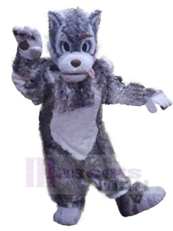 Wolf maskottchen kostüm