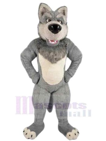 Wolf maskottchen kostüm