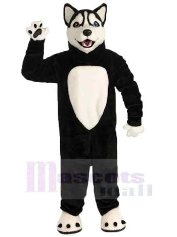 Wolf maskottchen kostüm