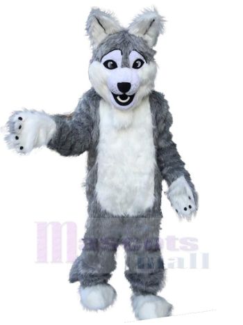 Wolf maskottchen kostüm