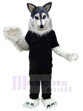Wolf maskottchen kostüm