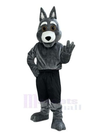 Kojote in schwarzer Hose Maskottchen Kostüm Tier
