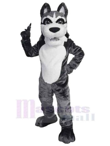 Wolf maskottchen kostüm