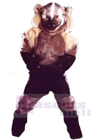 Wolf maskottchen kostüm