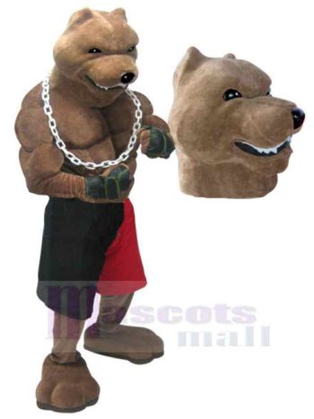 Wolf maskottchen kostüm