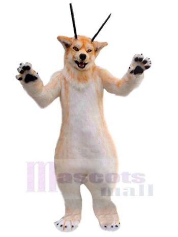 Wolf maskottchen kostüm