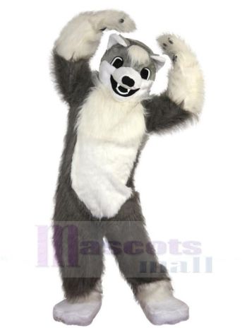 Wolf maskottchen kostüm