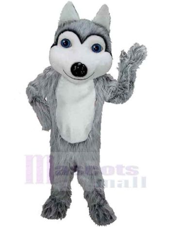 Wolf maskottchen kostüm