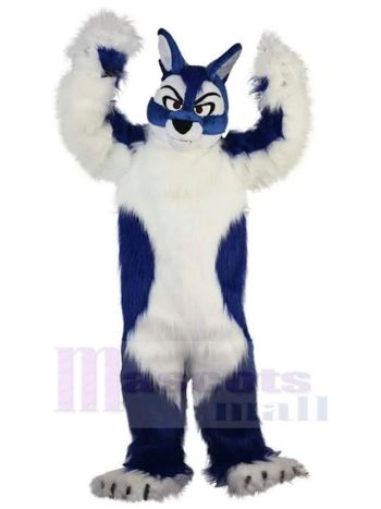 Wolf maskottchen kostüm