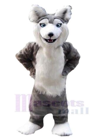 Wolf maskottchen kostüm