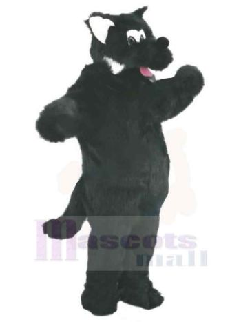 Wolf maskottchen kostüm