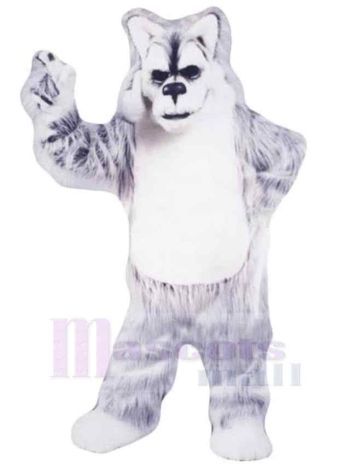 Wolf maskottchen kostüm