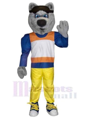 Wolf maskottchen kostüm