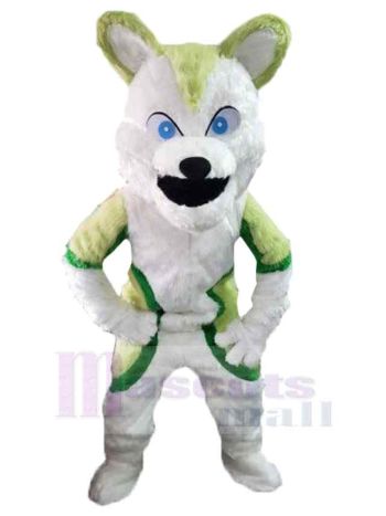 Wolf maskottchen kostüm