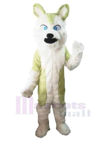 Wolf maskottchen kostüm
