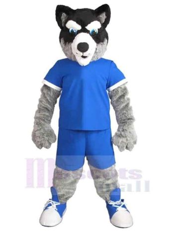 Wolf maskottchen kostüm
