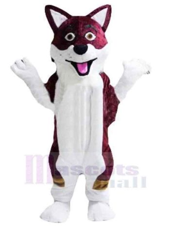 Wolf maskottchen kostüm