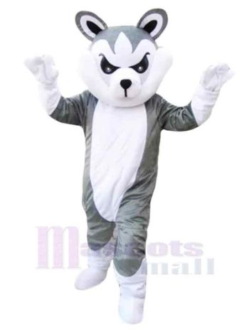 Wolf maskottchen kostüm