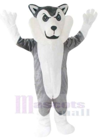 Wolf maskottchen kostüm