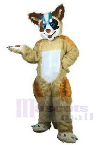 Wolf maskottchen kostüm