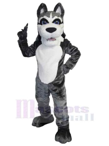 Wolf maskottchen kostüm