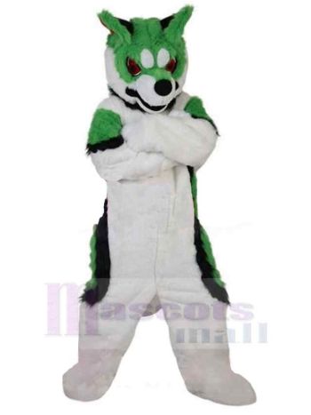 Wolf maskottchen kostüm