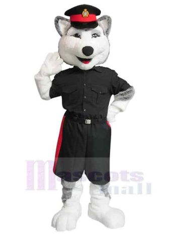 Wolf maskottchen kostüm