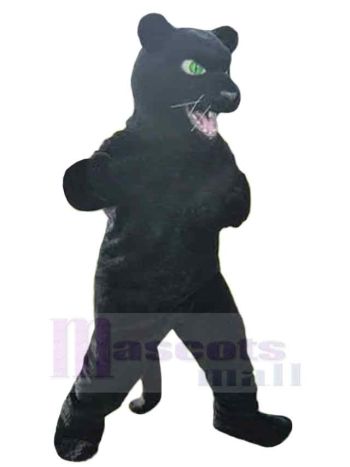 Panther maskottchen kostüm