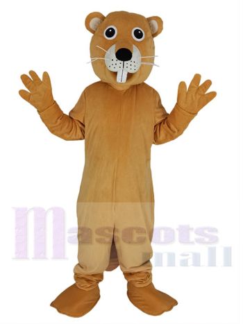 Biber maskottchen kostüm
