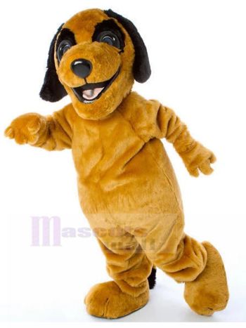 Hund maskottchen kostüm