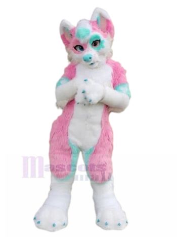 Hund maskottchen kostüm