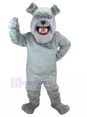 Hund maskottchen kostüm