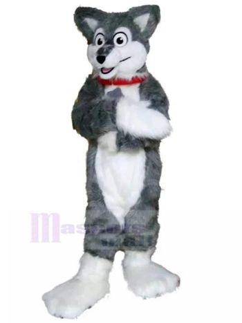 Hund maskottchen kostüm