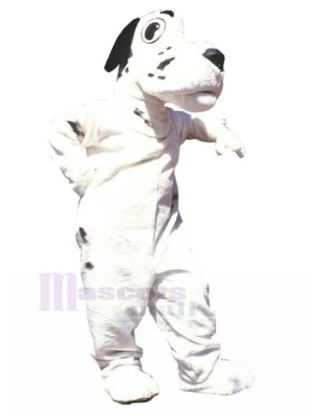 Hund maskottchen kostüm