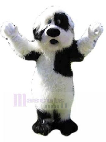 Hund maskottchen kostüm