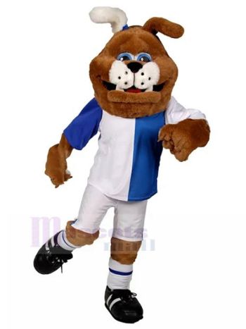 Hund maskottchen kostüm