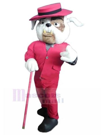 Hund maskottchen kostüm