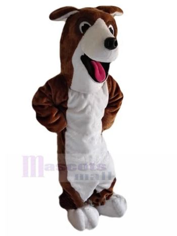 Hund maskottchen kostüm