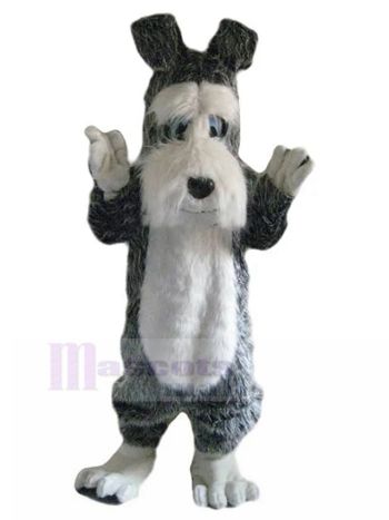 Hund maskottchen kostüm