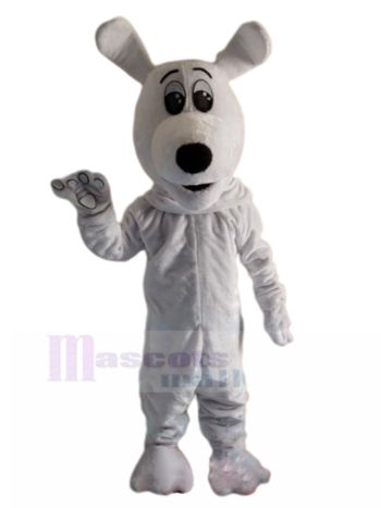 Hund maskottchen kostüm