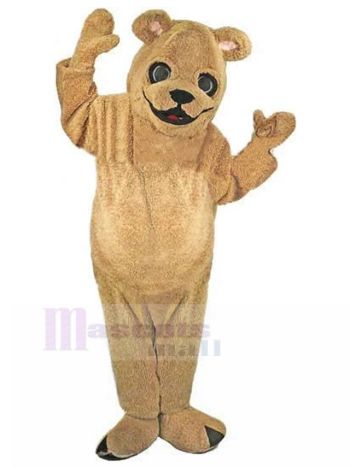 Bär maskottchen kostüm