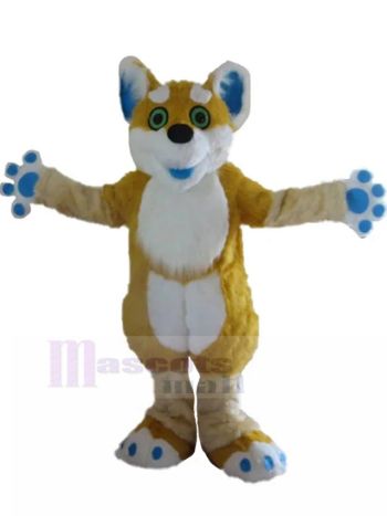 Hund maskottchen kostüm
