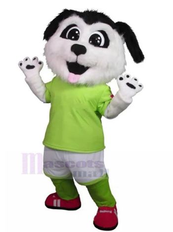 Hund maskottchen kostüm